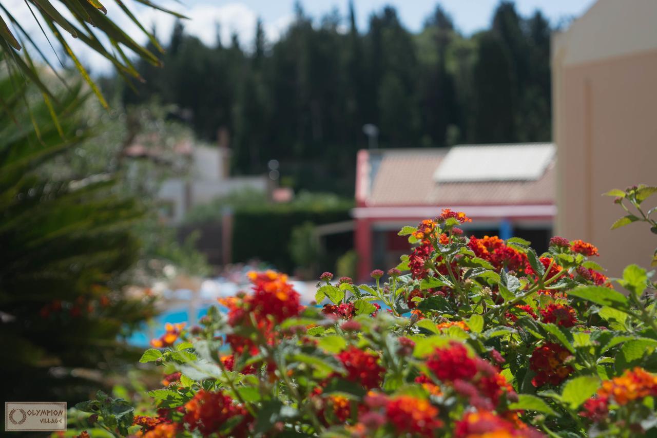 Olympion Village Kávos Dış mekan fotoğraf